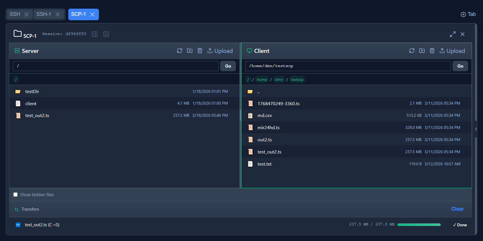 Dual-pane SCP file browser: Server pane on the left, Client pane on the right, with a completed transfer shown in the Transfers section