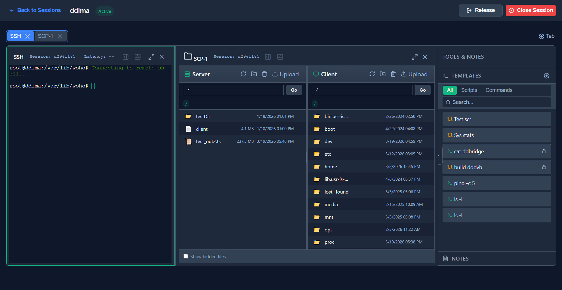 Session workspace showing two split SSH terminals side-by-side with the Tools & Notes sidebar open
